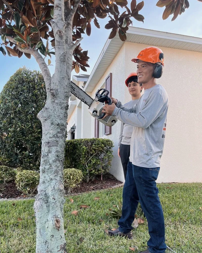 Custom outdoor landscaping in Mulberry, FL by Ultimate Tree and Landscaping Services