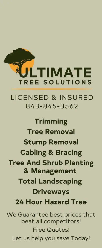 Trusted lawn mowing service in Lake View, SC by Ultimate Tree Solutions