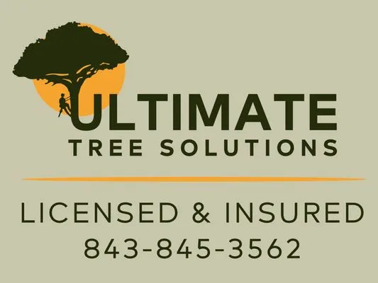 Ultimate Tree Solutions
