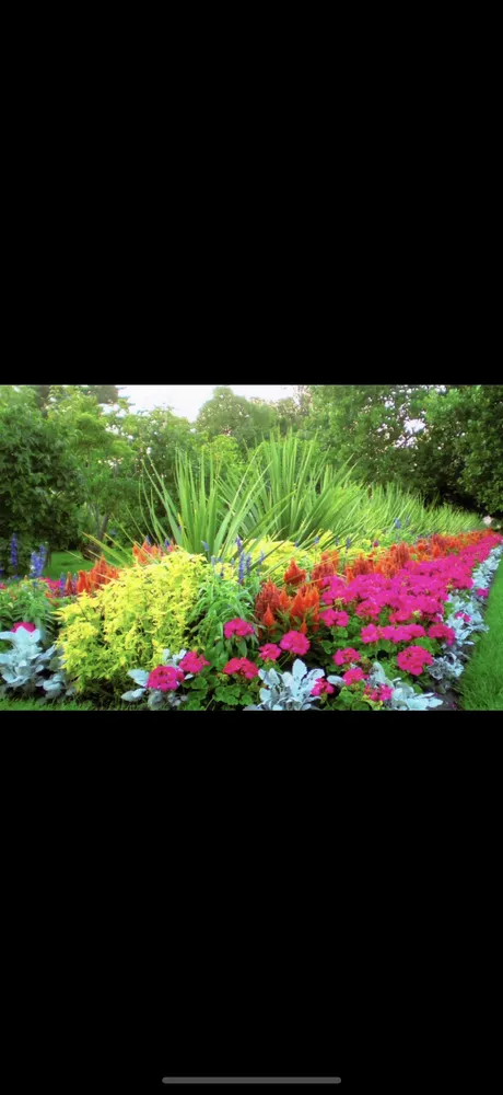 Reliable yard maintenance in Jackson, GA - Ultimate Turf