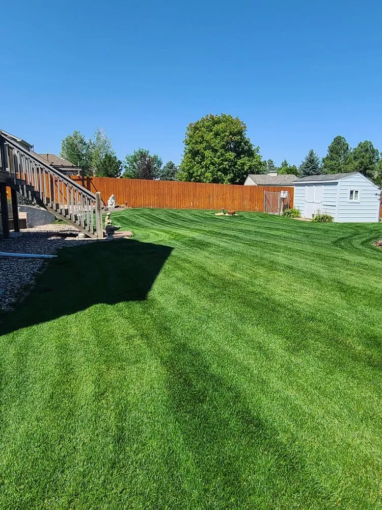 Custom landscape installation near you in Cheyenne, WY by Ultimate Yard Care