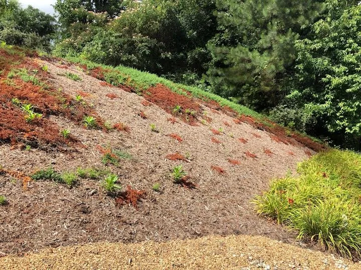 Custom yard maintenance in North Wilkesboro, NC - UltimateLandscaping365