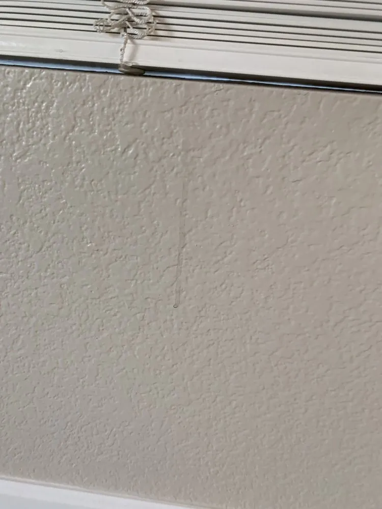 Reliable landscaping services in Queen Creek, AZ - Ultra Brite Home Services