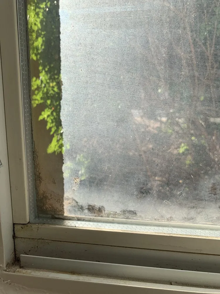 Custom yard maintenance with custom design across Queen Creek, AZ - Ultra Brite Home Services