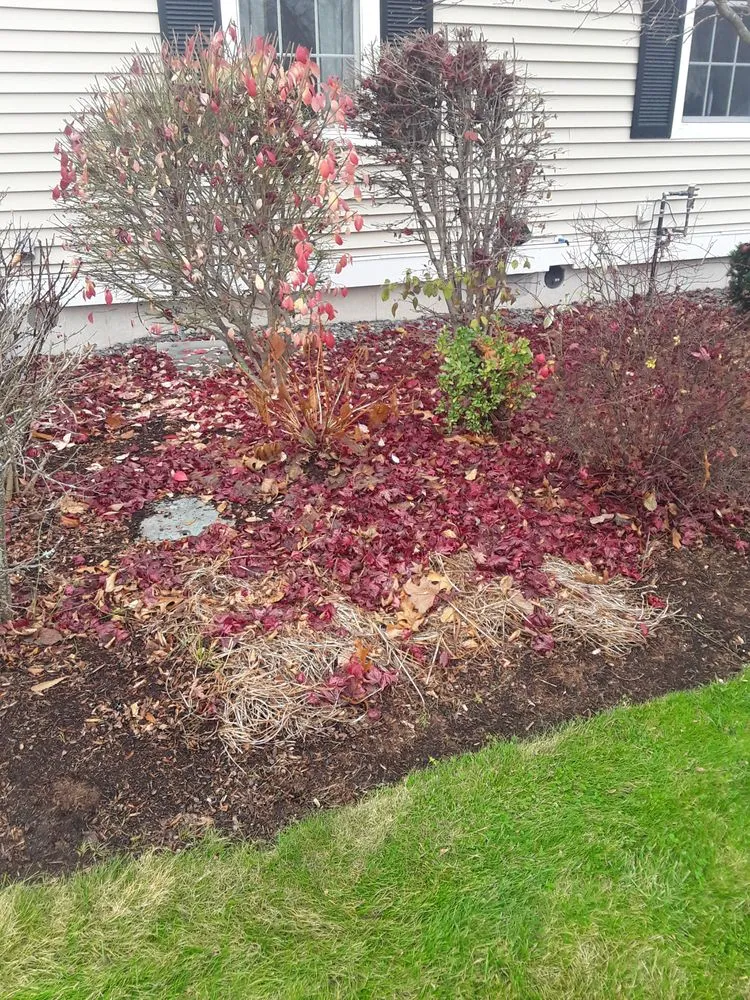 Affordable yard maintenance in Windham, NH - Ultra Green Landscape