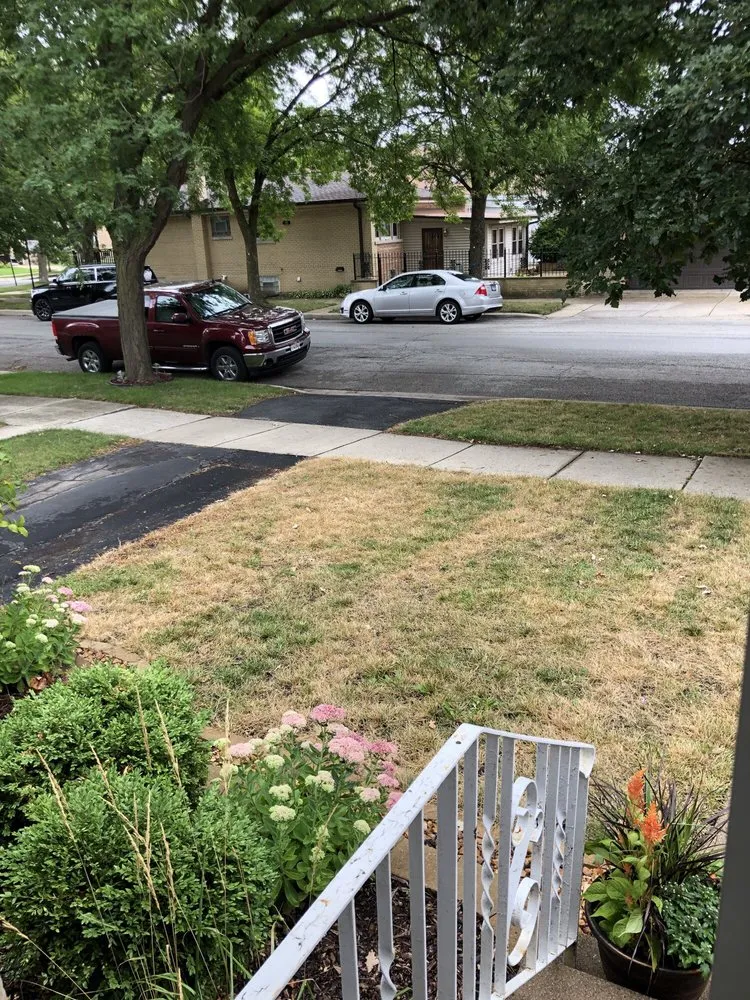 Trusted yard cleanup service for year-round maintenance across Orland Park, IL - Ultra-Green