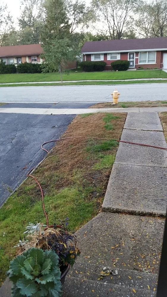 Custom residential landscaping for residential properties in Orland Park, IL by Ultra-Green