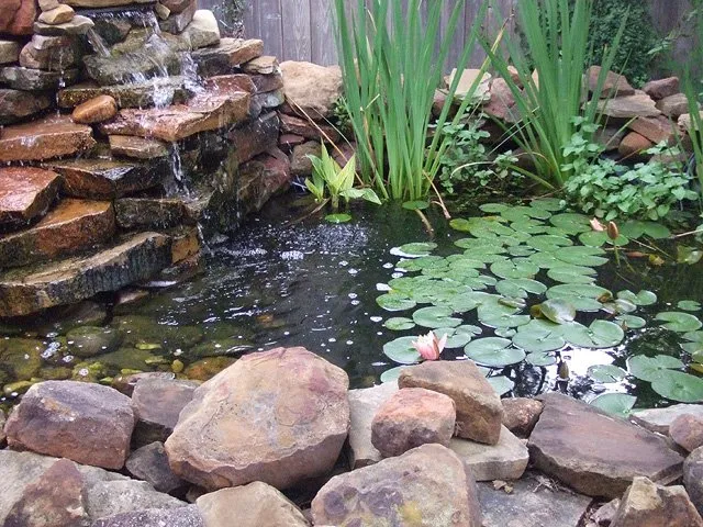 Top-rated outdoor landscaping in Palm Desert, CA by Ultra Landscape Design