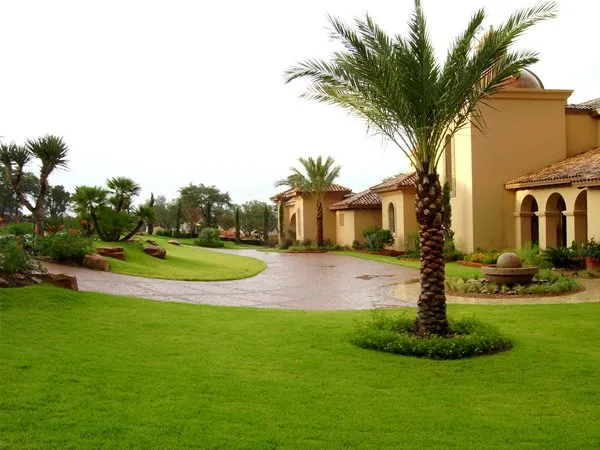 Top-rated yard maintenance for homes in Palm Desert, CA by Ultra Landscape Design