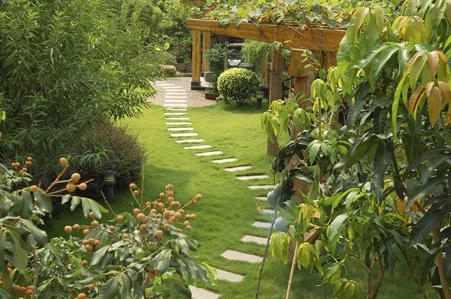 Reliable landscape design experts serving Palm Desert, CA - Ultra Landscape Design
