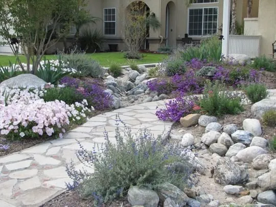 Reliable yard maintenance near you in Palm Desert, CA by Ultra Landscape Design