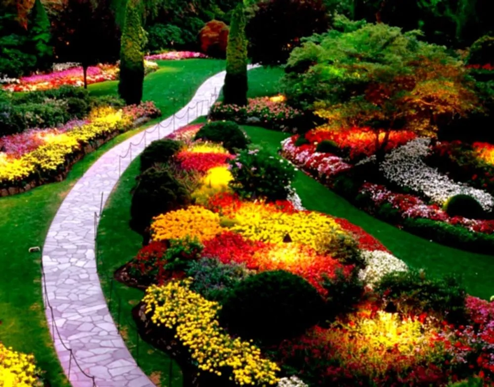 Reliable yard maintenance experts serving Palm Desert, CA - Ultra Landscape Design