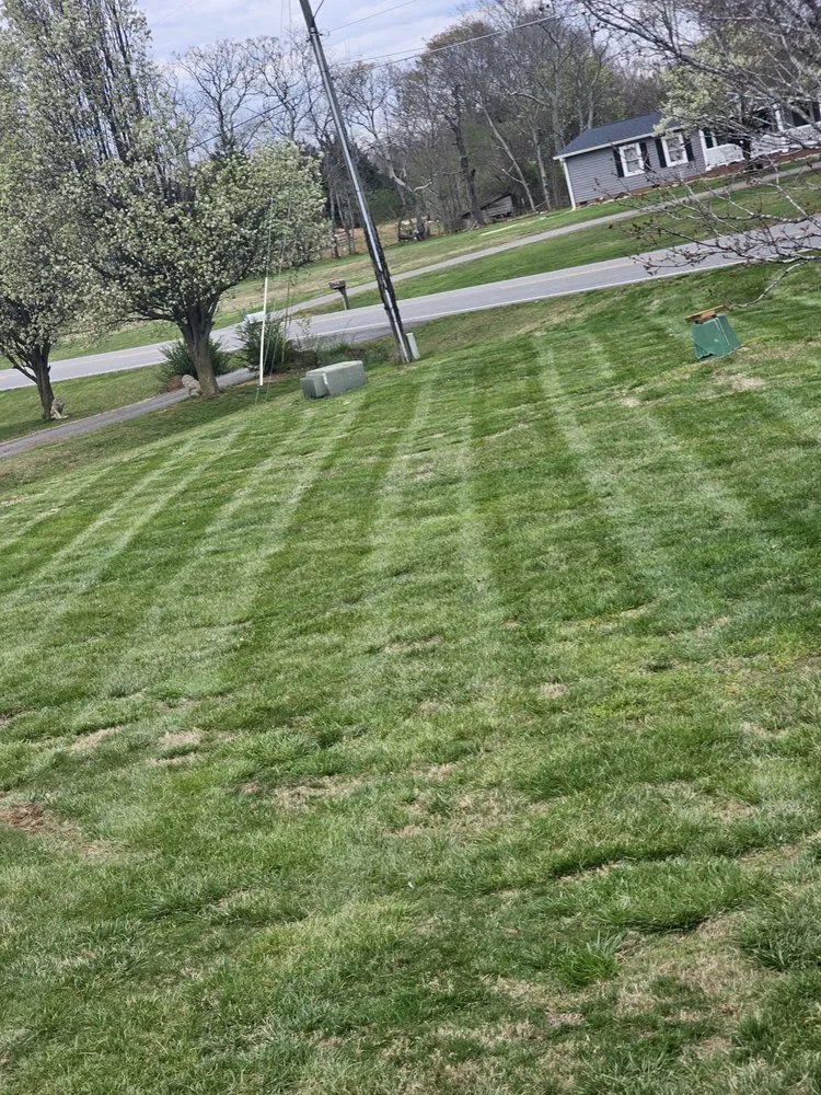 Expert yard cleanup service in Maiden, NC - Ultra lawn care