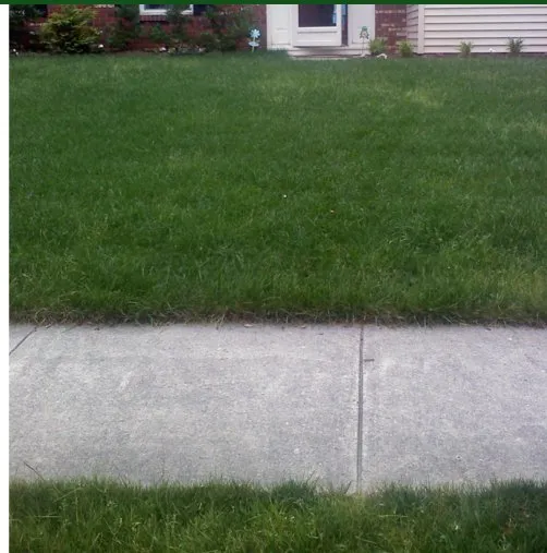 Trusted yard maintenance in Howell, NJ by Ultra Lawn Services