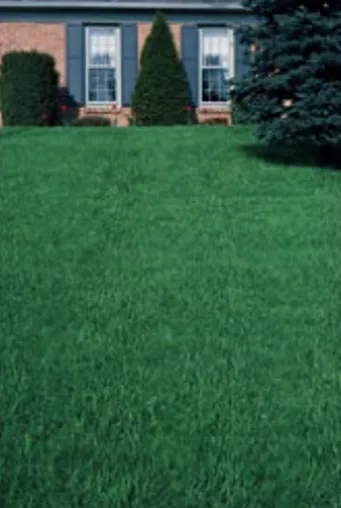 Local landscape installation in Howell, NJ by Ultra Lawn Services