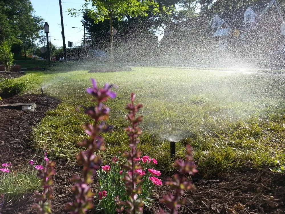 Custom lawn mowing service in Hyattsville, MD by Ultra Mist Sprinklers