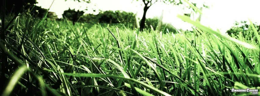 Professional lawn mowing service in Murfreesboro, TN by UltraGreen Lawn Service