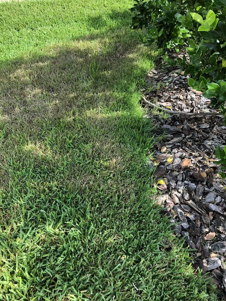 Local yard maintenance for year-round maintenance across Orlando, FL - UltraGreen Lawn Service