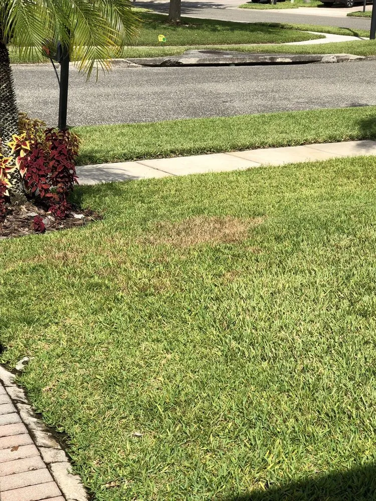 Top-rated garden landscaping experts serving Orlando, FL - UltraGreen Lawn Service