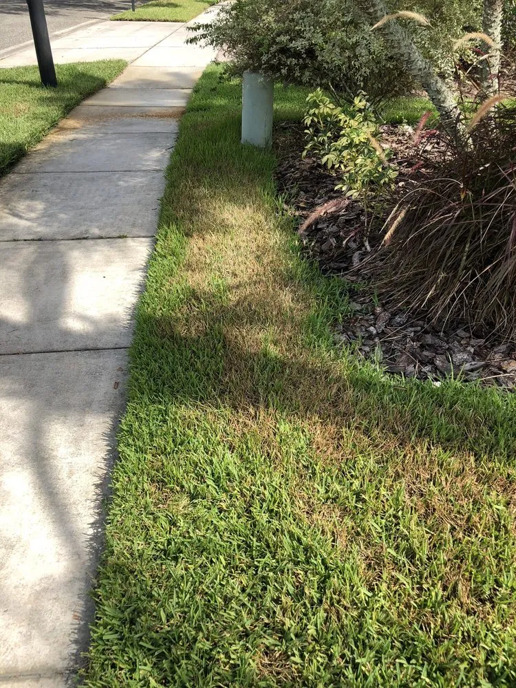 Top-rated yard maintenance in Orlando, FL - UltraGreen Lawn Service