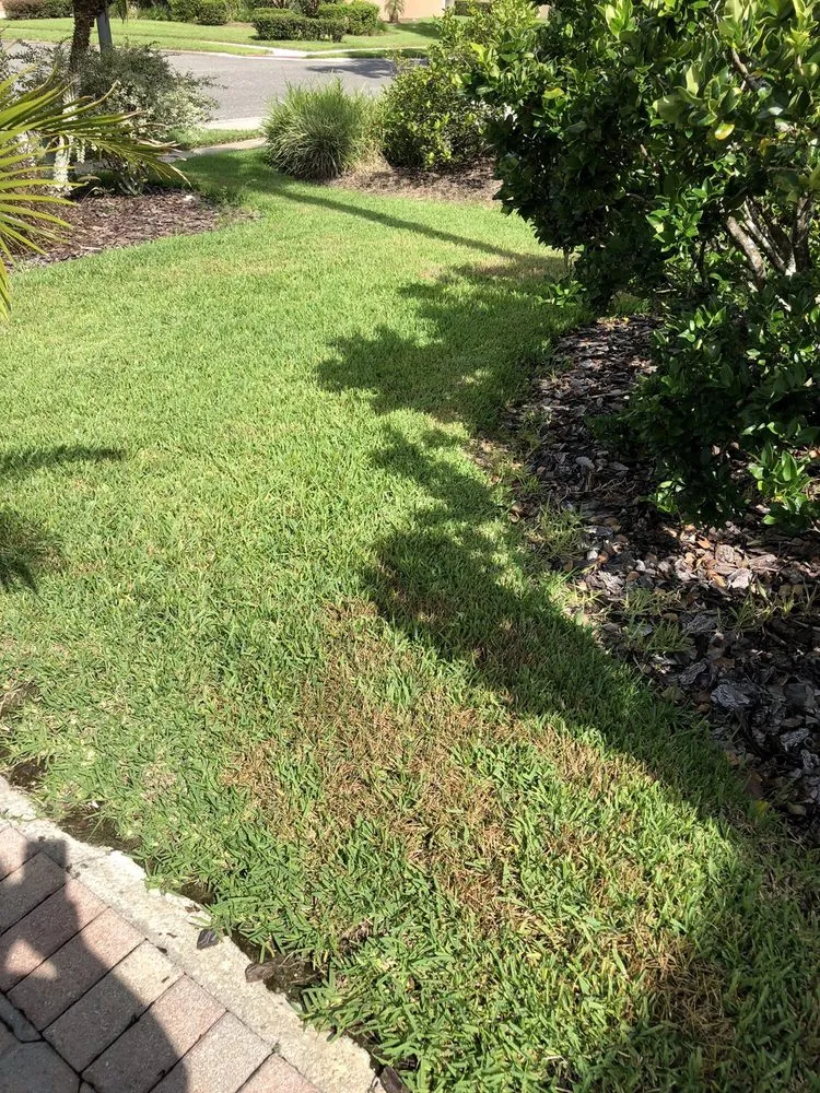 Local yard cleanup service for beautiful yards across Orlando, FL - UltraGreen Lawn Service