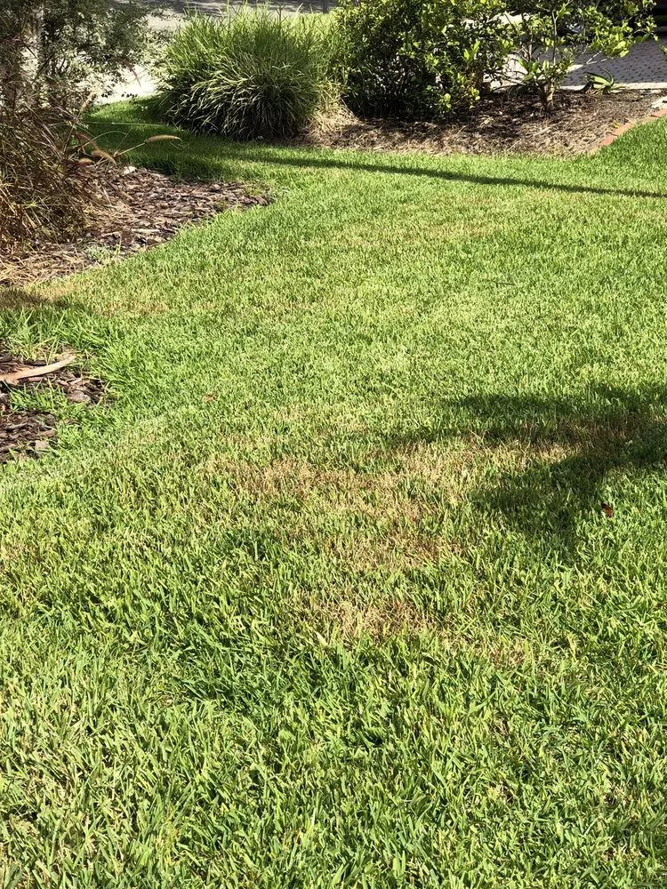 Top-rated landscaping services experts serving Orlando, FL - UltraGreen Lawn Service