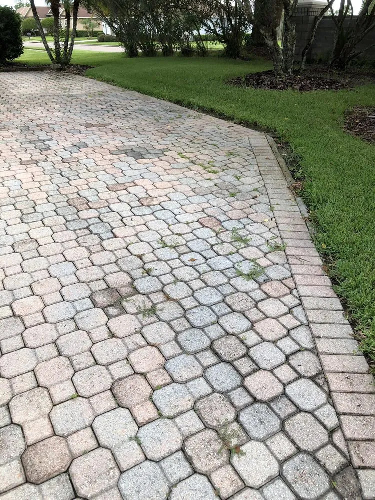 Affordable yard maintenance for year-round maintenance in Orlando, FL by UltraGreen Lawn Service