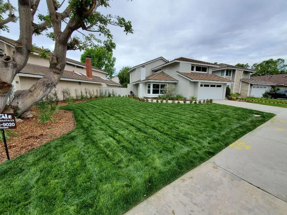 Top-rated residential landscaping for homes in Riverside, CA by Ultrascape Design & Landscaping