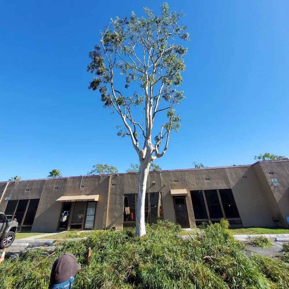 Trusted garden landscaping for outdoor upgrades in Riverside, CA by Ultrascape Design & Landscaping