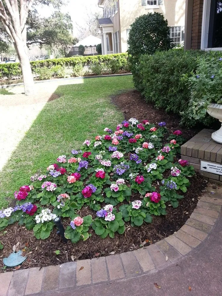 Trusted yard cleanup service for beautiful yards across Houston, TX - Ultrascape Landscaping & irrigation