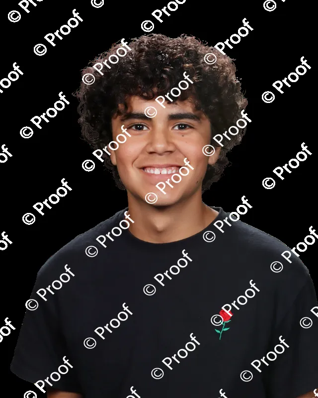 Expert landscaping services for homes in Naples, FL by Ulysses's Mowing