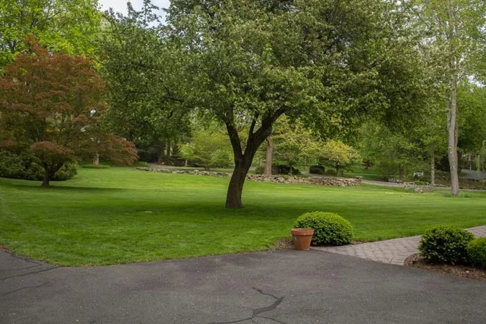 Expert lawn care service in Port Chester, NY by Umanzor Landscaping