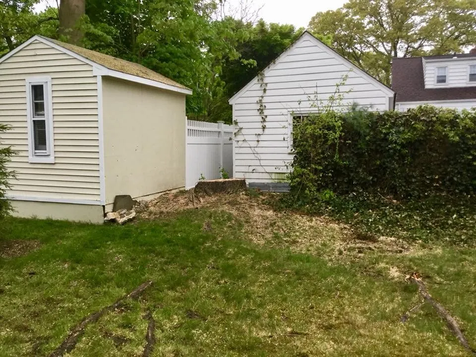 Local yard maintenance for year-round maintenance across Port Chester, NY - Umanzor Landscaping