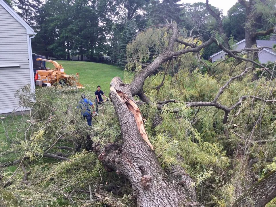 Trusted landscaping services for beautiful yards across Port Chester, NY - Umanzor Landscaping