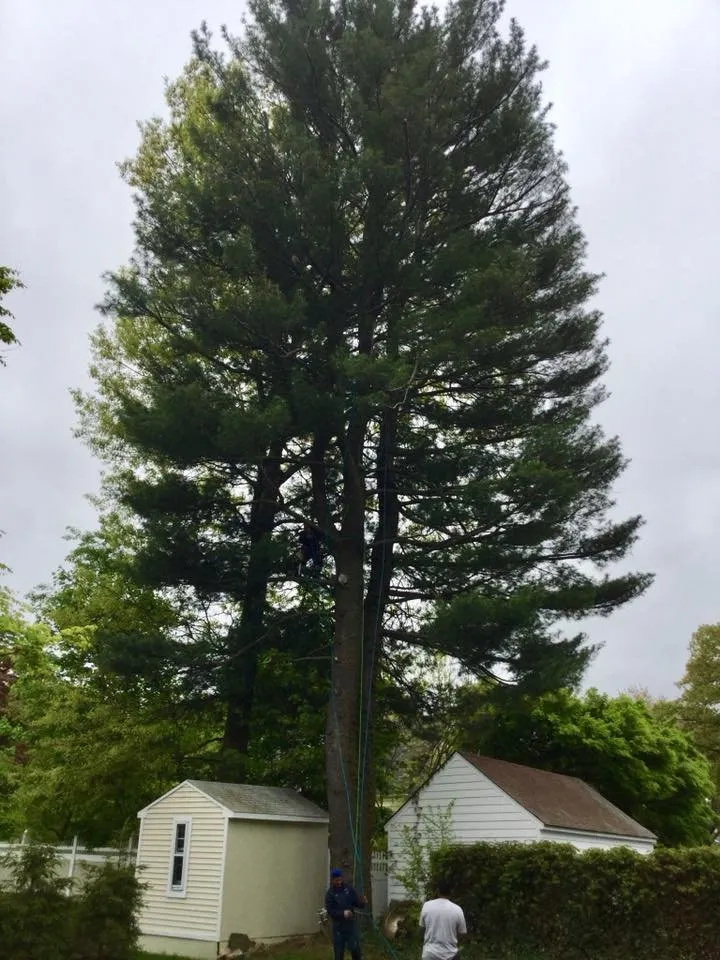 Professional landscape design for residential properties in Port Chester, NY by Umanzor Landscaping