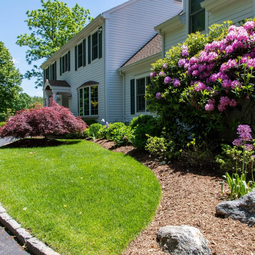 Trusted yard maintenance near you in Port Chester, NY by Umanzor Landscaping