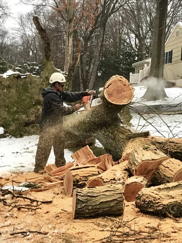 Trusted yard cleanup service near you in Port Chester, NY by Umanzor Landscaping