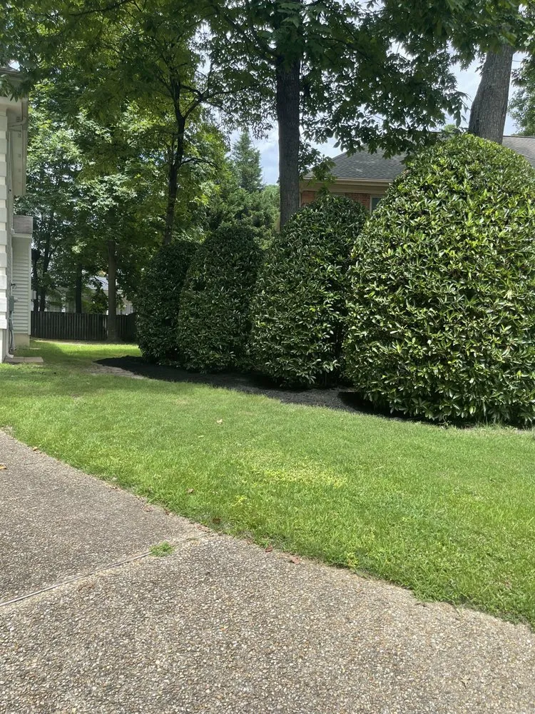 Trusted outdoor landscaping in Newport News, VA by Umsteads Lawncare