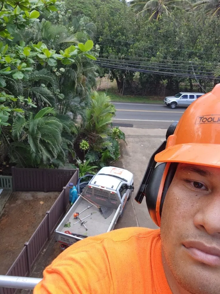 Affordable garden landscaping for outdoor upgrades in Honolulu, HI by Umuna Landscape