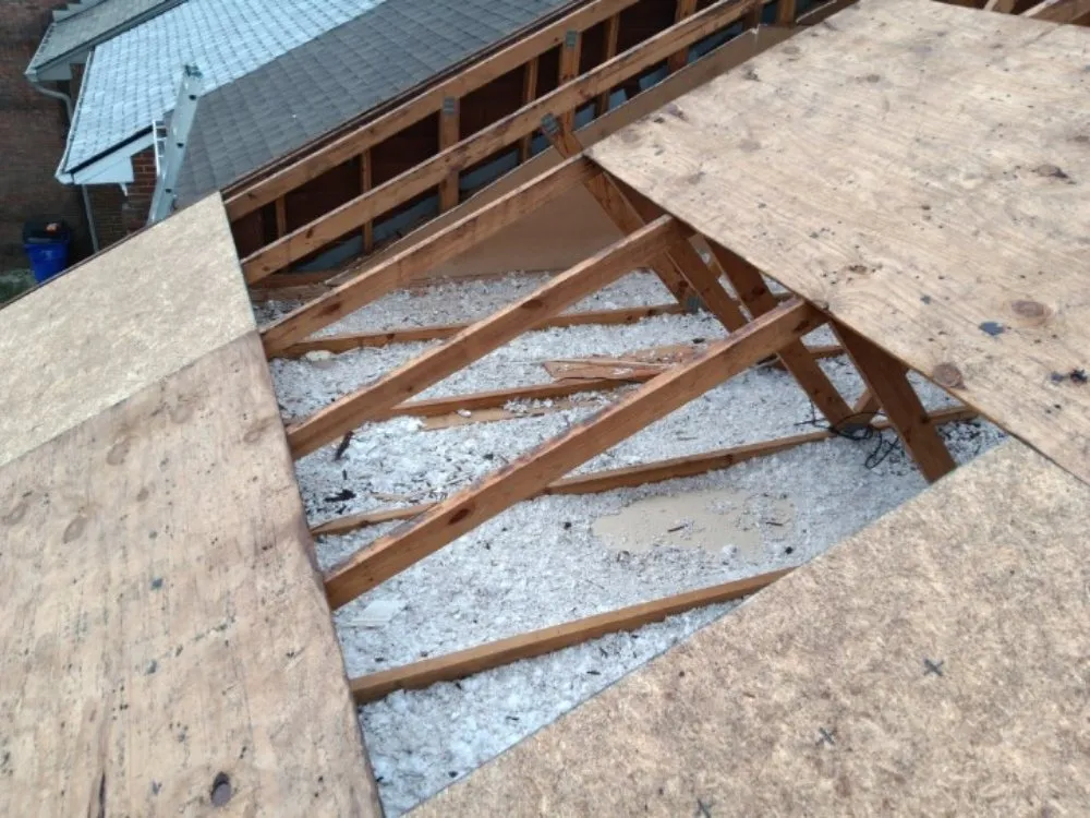 Reliable lawn care service experts serving Nicholasville, KY - U&N Home Services