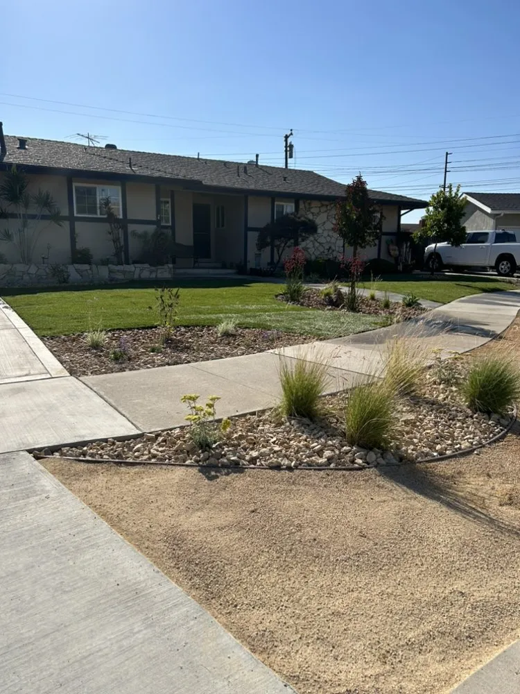 Expert yard maintenance in Santa Ana, CA by Unbeatable Landscapes