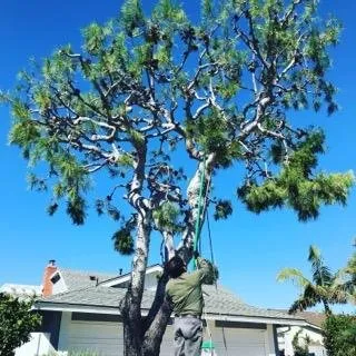 Reliable outdoor landscaping experts serving Santa Ana, CA - Unbeatable Landscapes