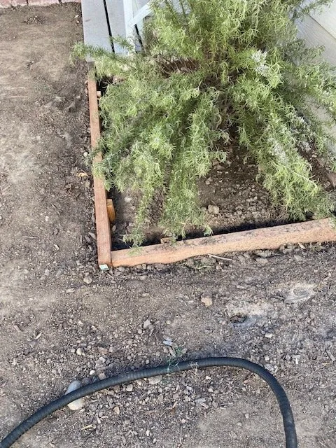 Trusted garden landscaping in Santa Ana, CA by Unbeatable Landscapes