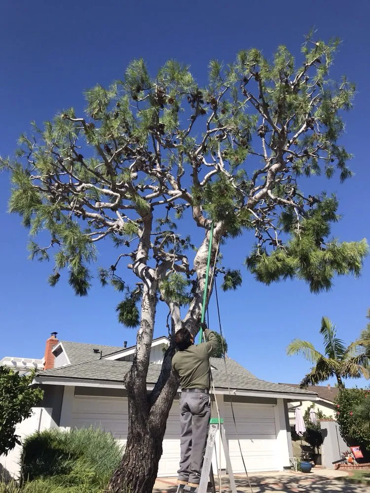 Expert landscape installation experts serving Santa Ana, CA - Unbeatable Landscapes