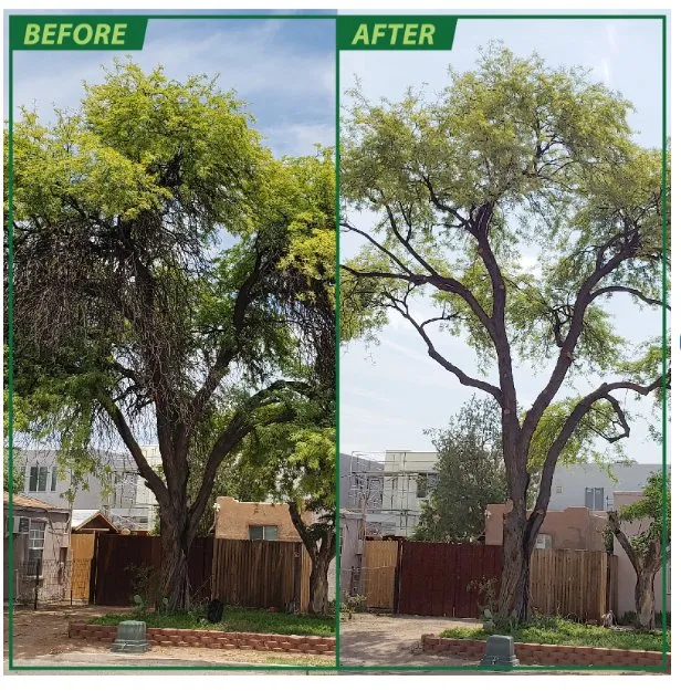 Local landscape design in Crowley, TX by Unbeleafable Lawn And Tree Services