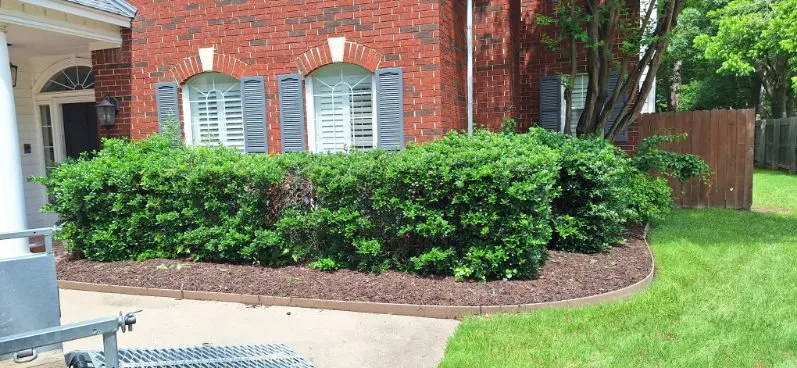 Affordable landscape design for homes across Crowley, TX - Unbeleafable Lawn And Tree Services