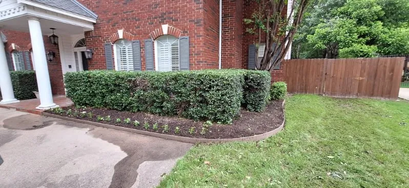 Top-rated yard cleanup service for homes in Crowley, TX by Unbeleafable Lawn And Tree Services