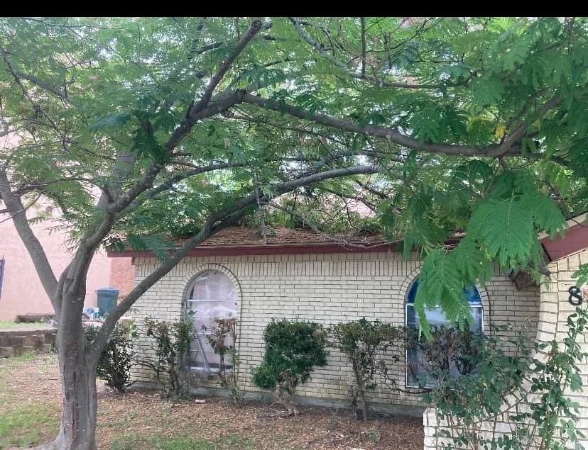 Top-rated yard cleanup service with custom design across Crowley, TX - Unbeleafable Lawn And Tree Services