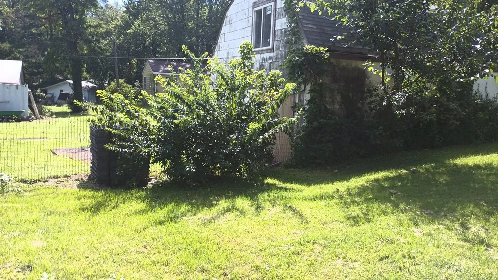 Affordable outdoor landscaping in St. Louis, MO - Uncle Carl's Lawncare Service