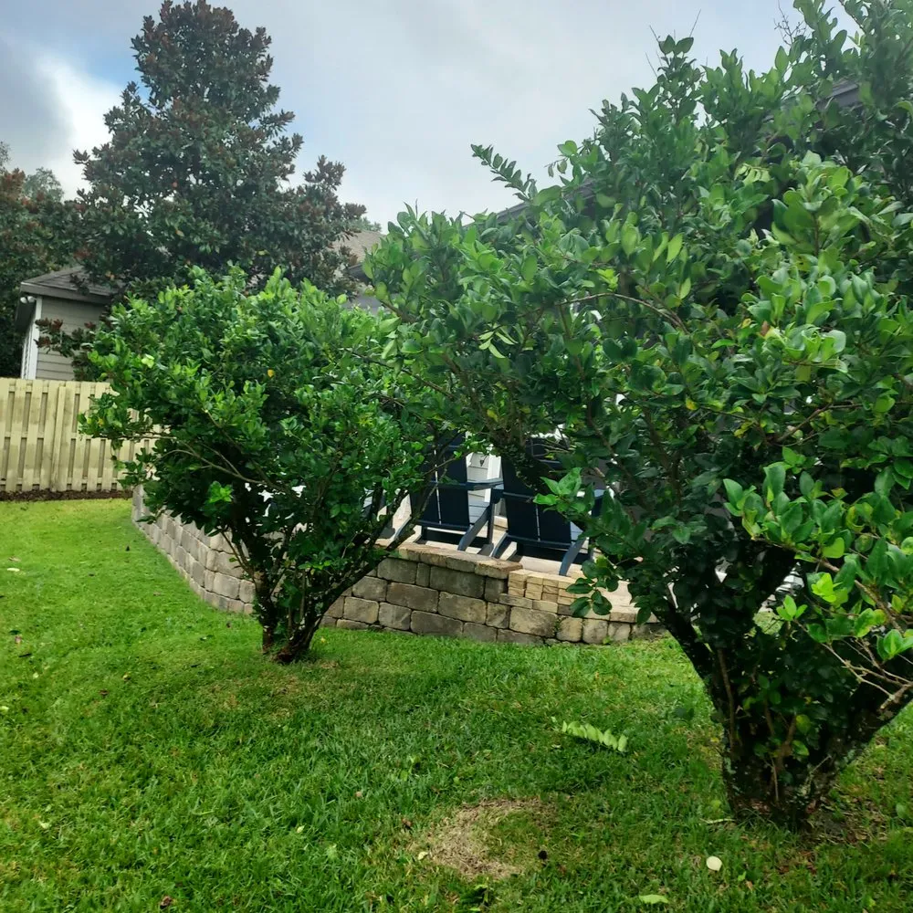 Local outdoor landscaping with custom design in Williston, FL by Uncle Dave's Lawn Services